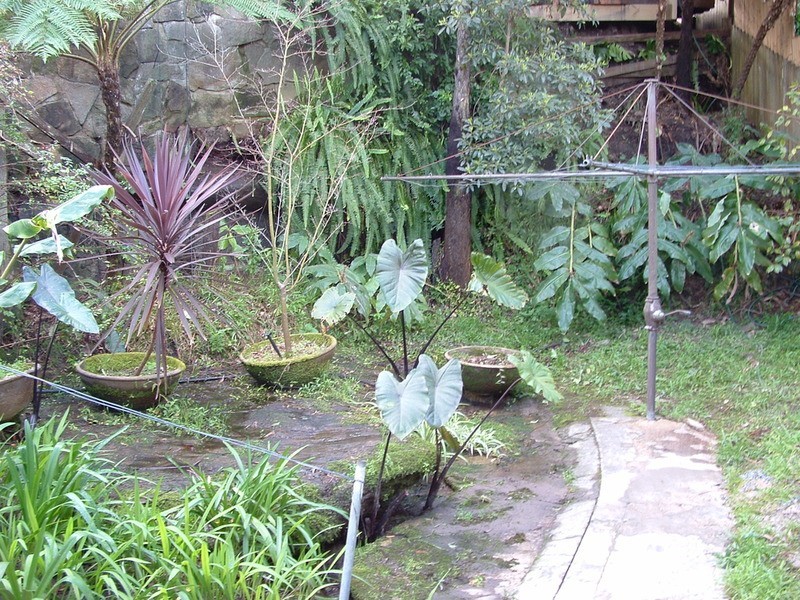 Frenchs Forest NSW 2086