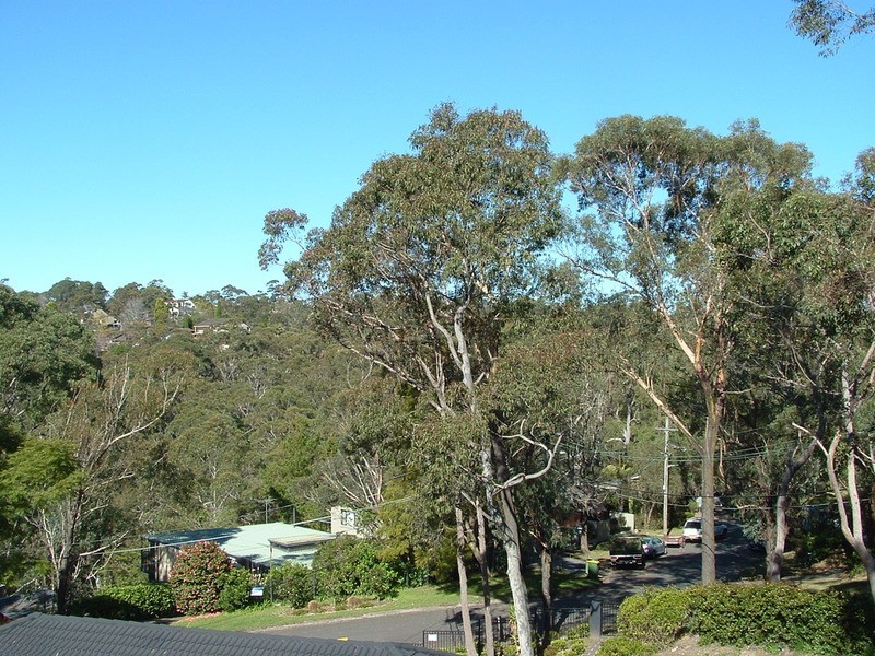 2 Whitehaven Street, St Ives NSW 2075