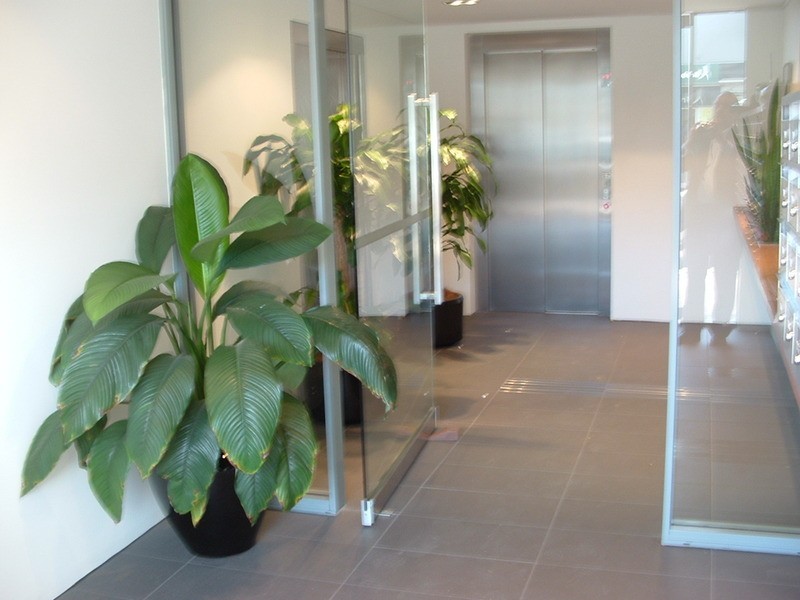 301/517 Pittwater  Road, Brookvale NSW 2100