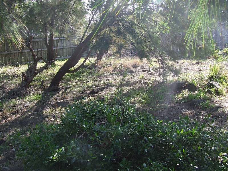 15A ELANORA Road, Kiama Heights NSW 2533