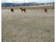 Rowes Lagoon 6332 Federal Highway, Collector NSW 2581