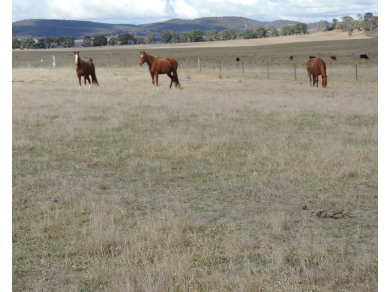 Rowes Lagoon 6332 Federal Highway, Collector NSW 2581