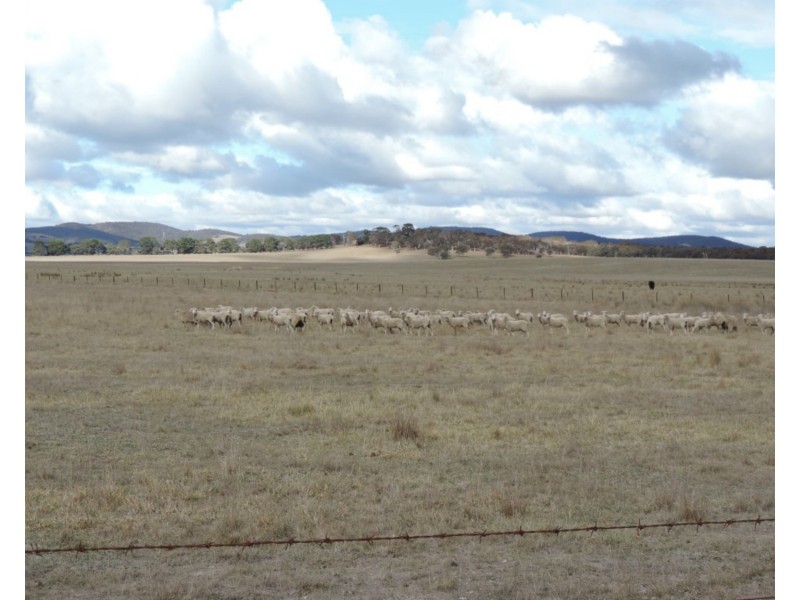 Rowes Lagoon 6332 Federal Highway, Collector NSW 2581