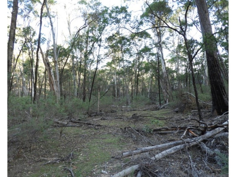 69  Sawpit Lane, Bungonia NSW 2580