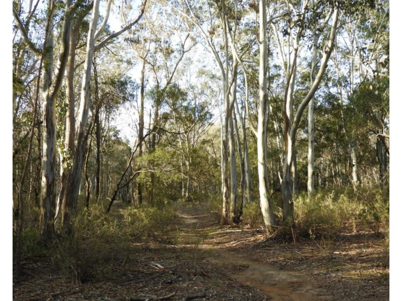 69  Sawpit Lane, Bungonia NSW 2580