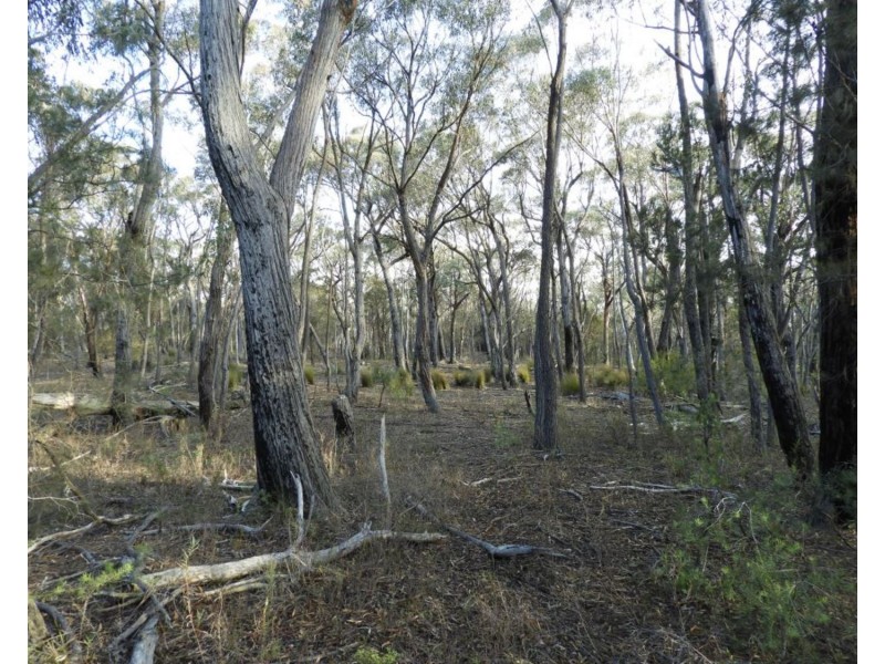 69  Sawpit Lane, Bungonia NSW 2580