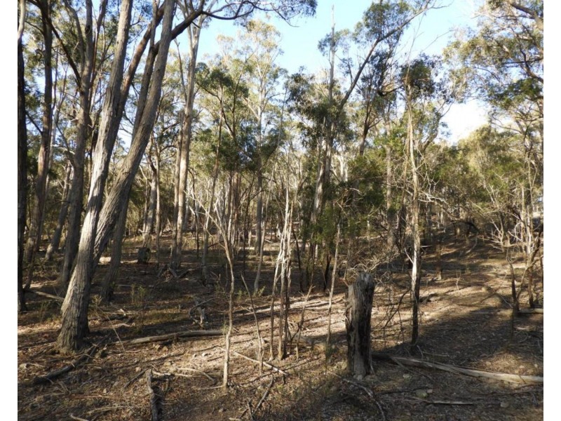 69  Sawpit Lane, Bungonia NSW 2580