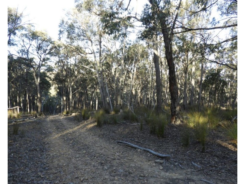 69  Sawpit Lane, Bungonia NSW 2580