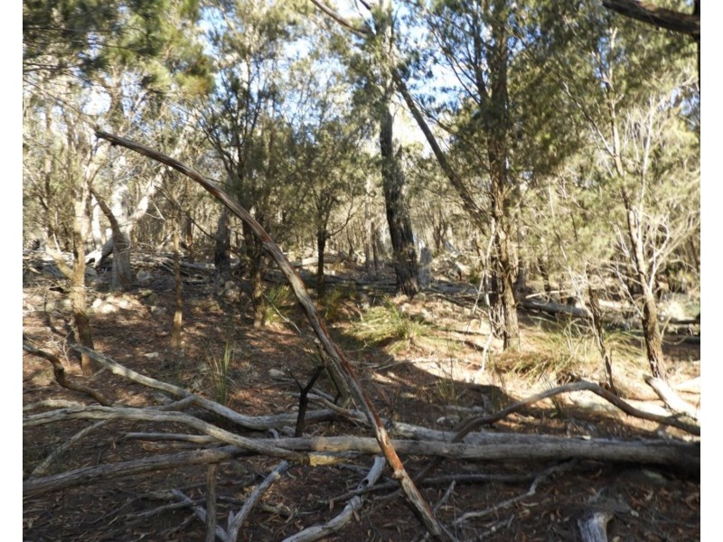 69  Sawpit Lane, Bungonia NSW 2580