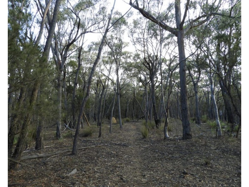 69  Sawpit Lane, Bungonia NSW 2580