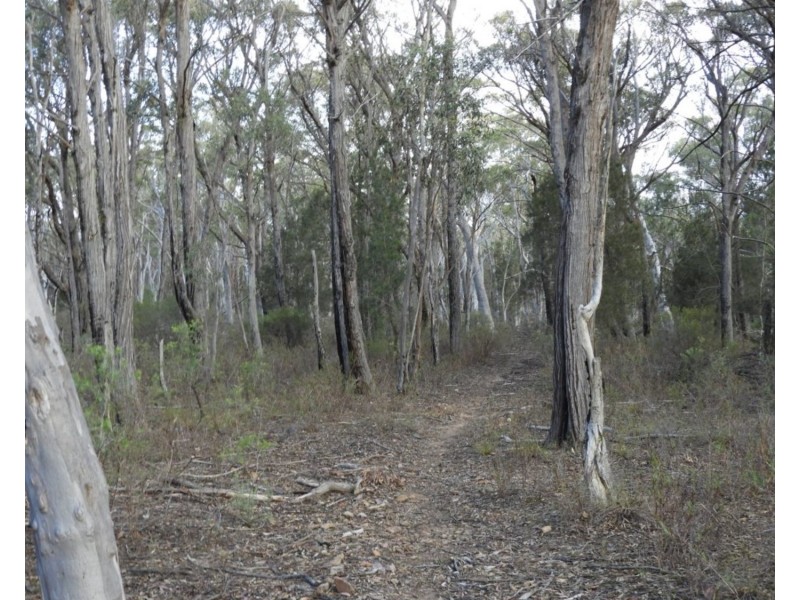 69  Sawpit Lane, Bungonia NSW 2580