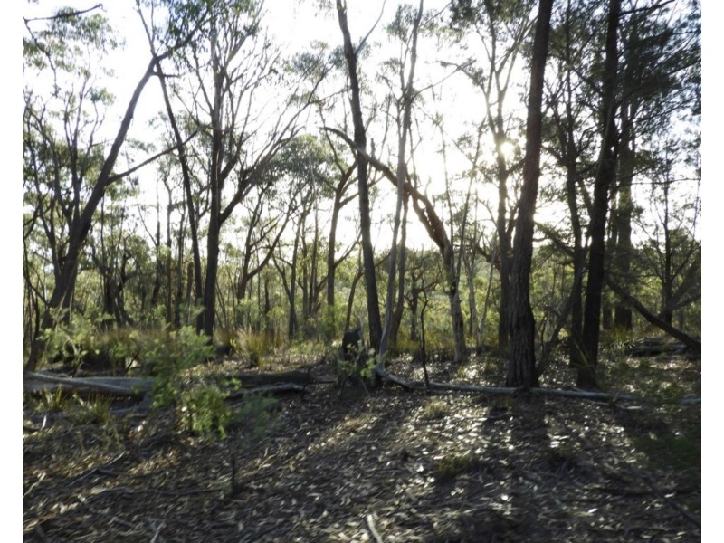 69  Sawpit Lane, Bungonia NSW 2580