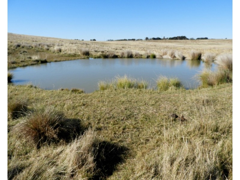 Old Dairy Bannister Lane, Gurrundah NSW 2581