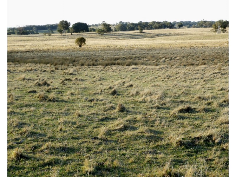Old Dairy Bannister Lane, Gurrundah NSW 2581