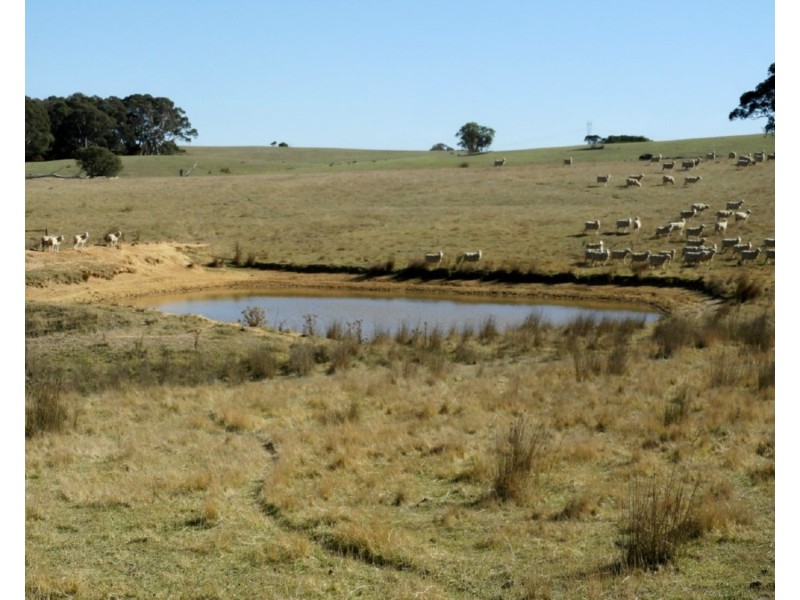 Old Dairy Bannister Lane, Gurrundah NSW 2581