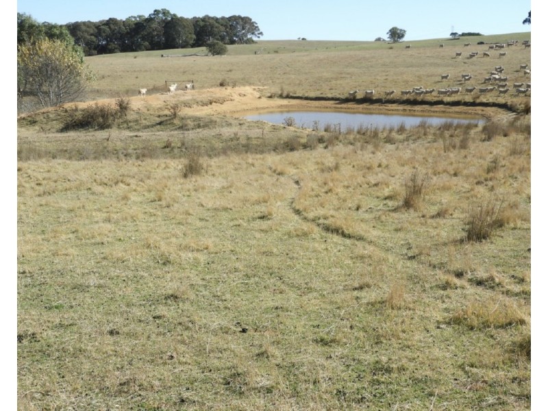 Old Dairy Bannister Lane, Gurrundah NSW 2581
