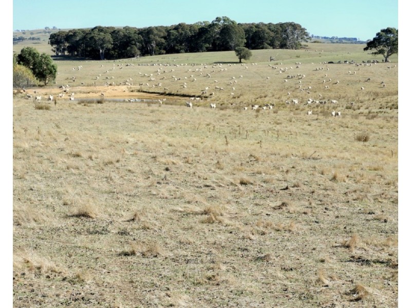 Old Dairy Bannister Lane, Gurrundah NSW 2581