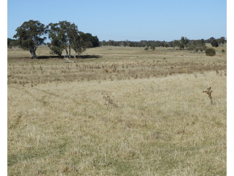 Old Dairy Bannister Lane, Gurrundah NSW 2581