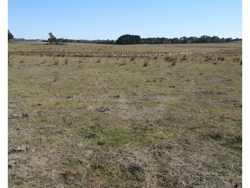 Old Dairy Bannister Lane, Gurrundah NSW 2581