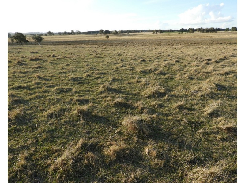 Old Dairy Bannister Lane, Gurrundah NSW 2581