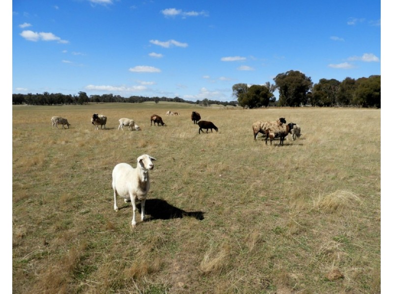 Lot 32 Boongarra Road, Laggan NSW 2583