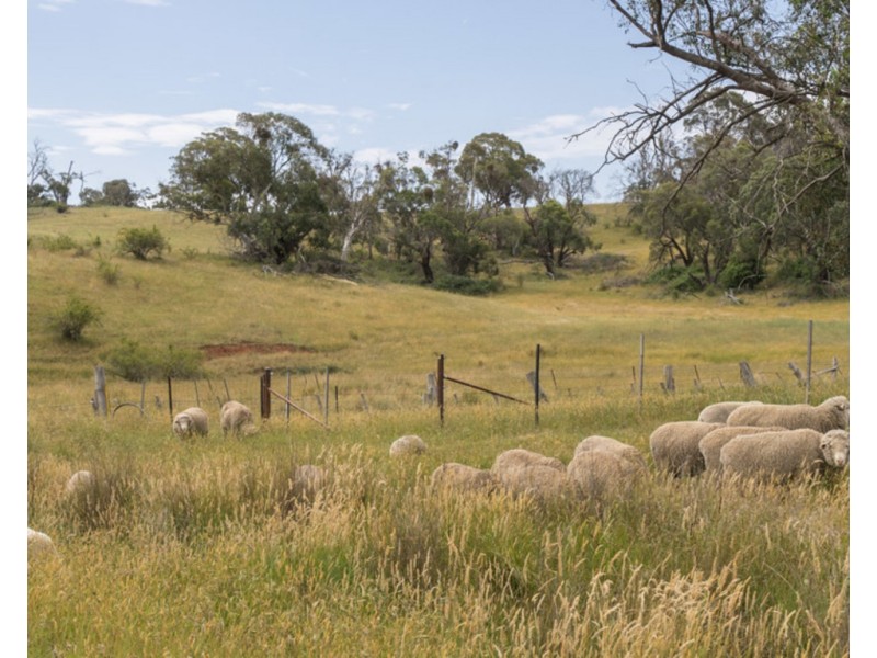 Lot 32 Boongarra Road, Laggan NSW 2583