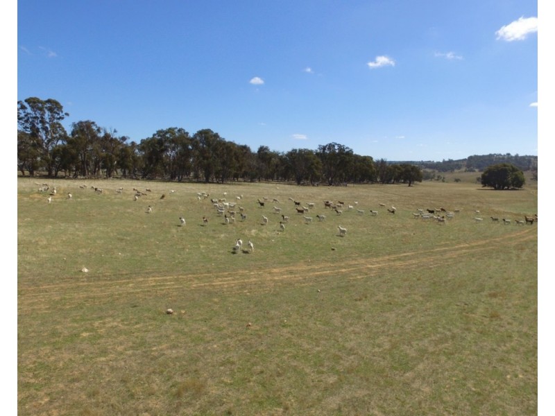 Lot 32 Boongarra Road, Laggan NSW 2583