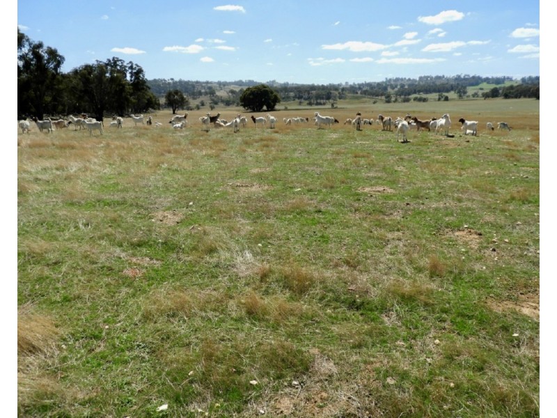 Lot 32 Boongarra Road, Laggan NSW 2583