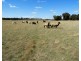 Lot 32 Boongarra Road, Laggan NSW 2583