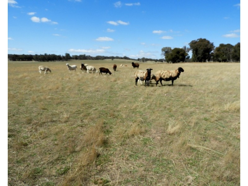 Lot 32 Boongarra Road, Laggan NSW 2583