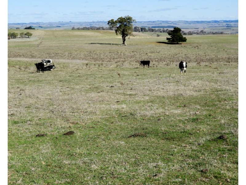 Lot 22 Levels Road, Golspie NSW 2580