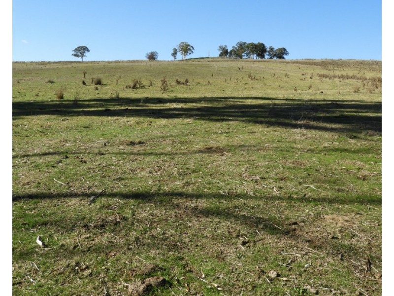 Lot 22 Levels Road, Golspie NSW 2580