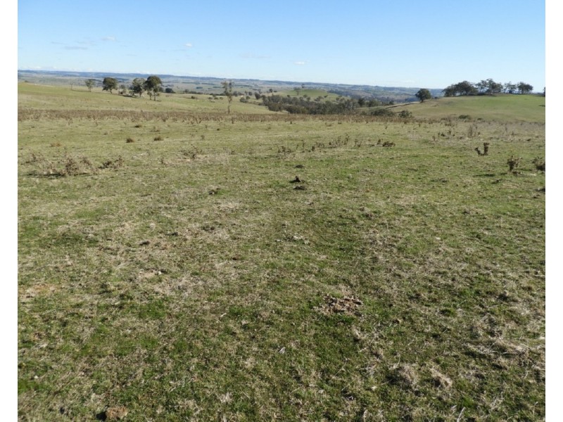 Lot 22 Levels Road, Golspie NSW 2580