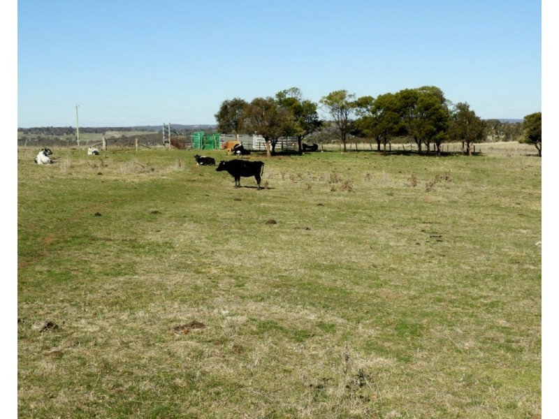 Lot 22 Levels Road, Golspie NSW 2580