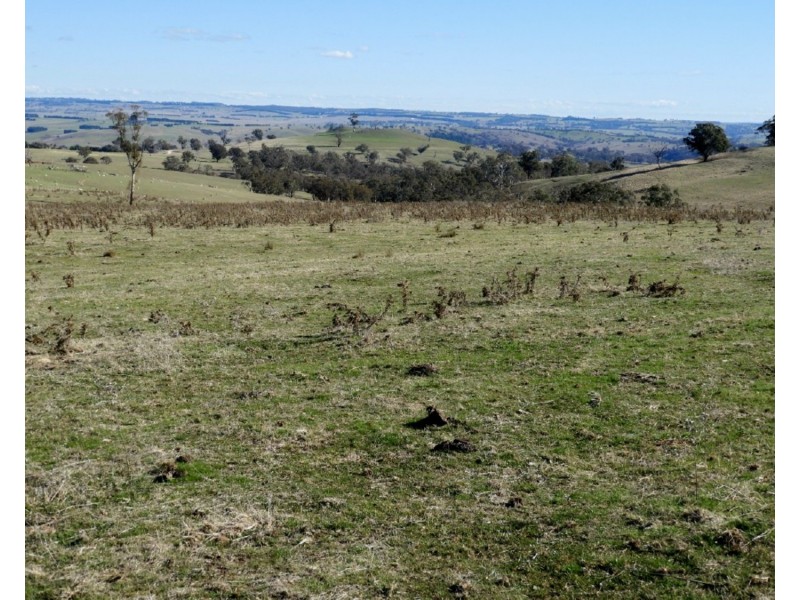 Lot 22 Levels Road, Golspie NSW 2580