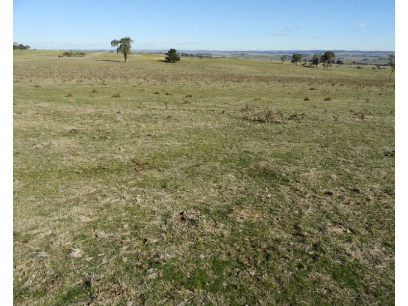 Lot 22 Levels Road, Golspie NSW 2580