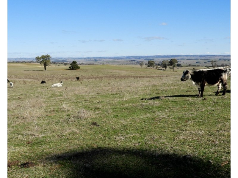 Lot 22 Levels Road, Golspie NSW 2580