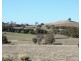 330 Gap Road, Parkesbourne NSW 2580