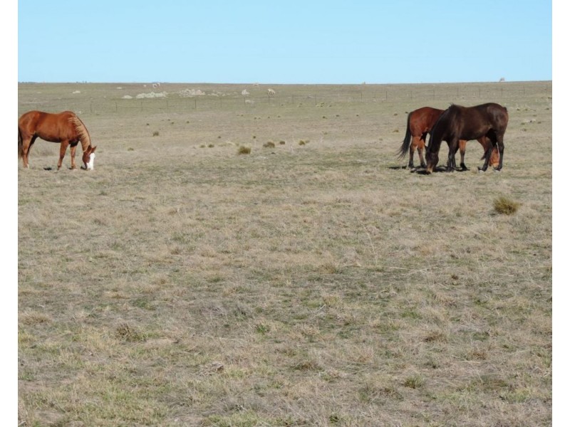 330 Gap Road, Parkesbourne NSW 2580