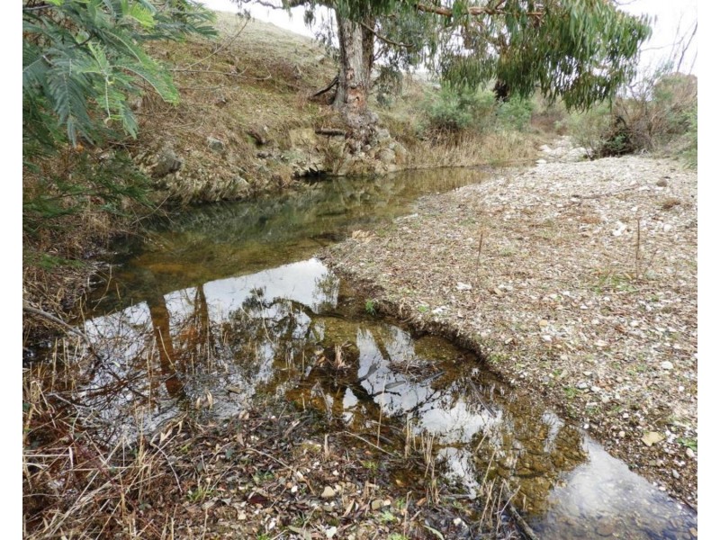 Lot 15 65 Rocky Waterhole Road, Peelwood NSW 2583