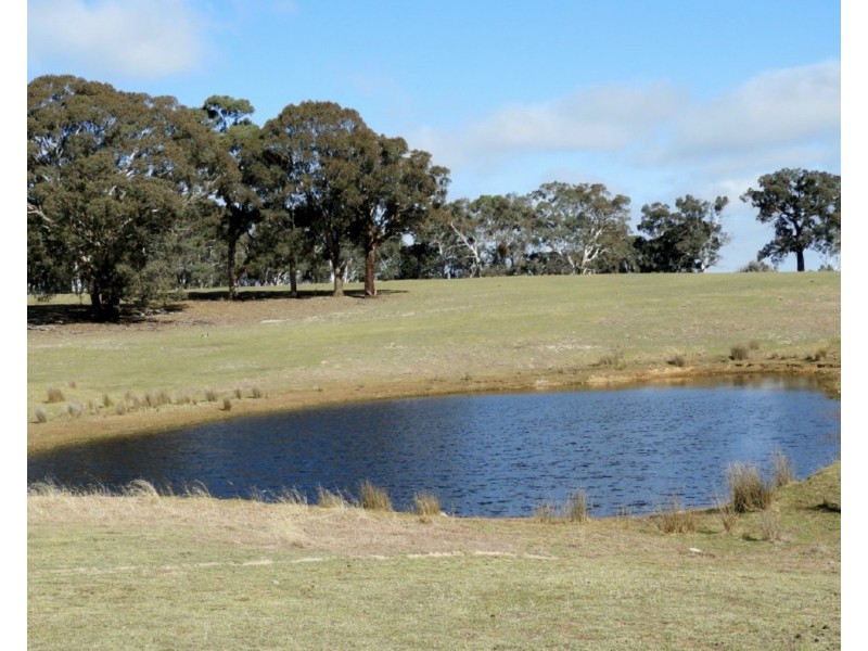 36 Cuddyong Road, Binda NSW 2583