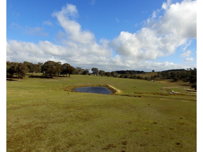 36 Cuddyong Road, Binda NSW 2583