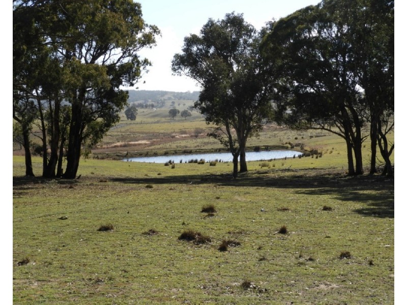 36 Cuddyong Road, Binda NSW 2583