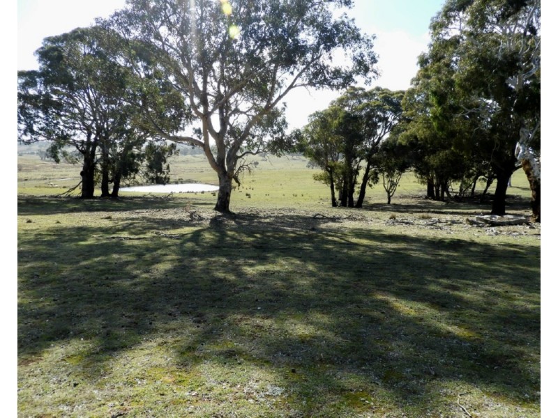 36 Cuddyong Road, Binda NSW 2583