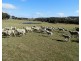 36 Cuddyong Road, Binda NSW 2583