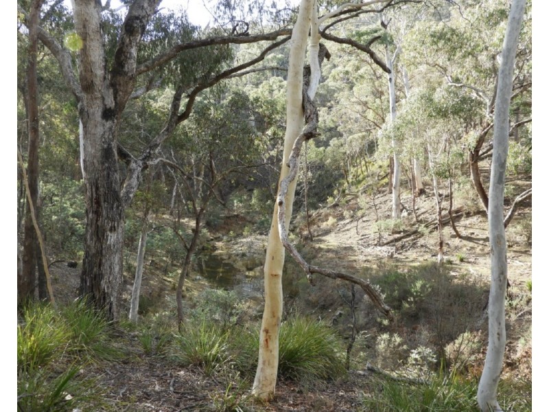 Pomeroy Parkland Range Road, Goulburn NSW 2580