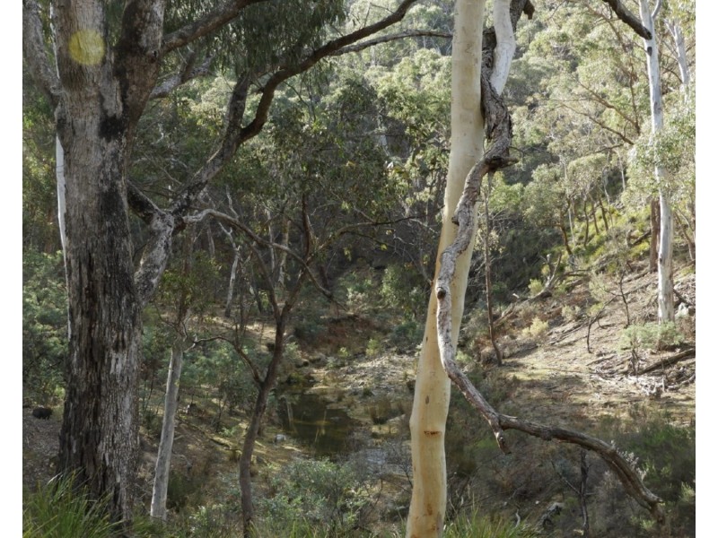 Pomeroy Parkland Range Road, Goulburn NSW 2580