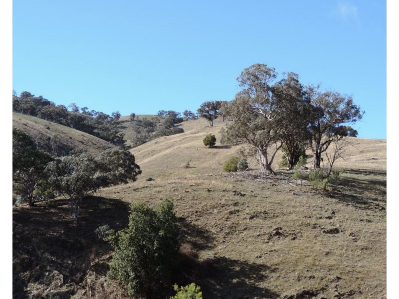 Lot 101 Hollow Mount Road, Bigga NSW 2583