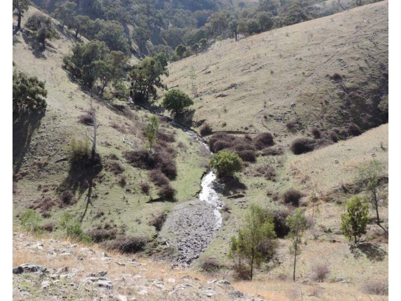 Lot 101 Hollow Mount Road, Bigga NSW 2583