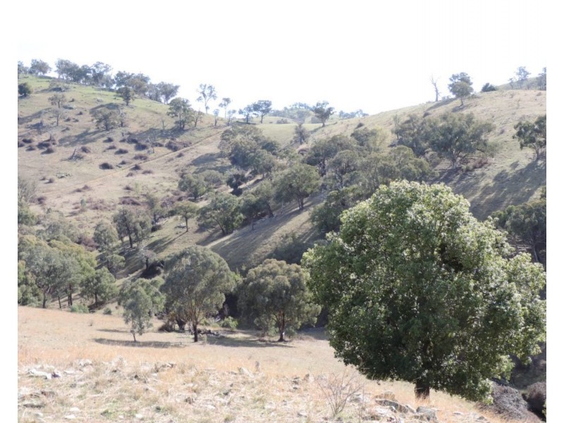 Lot 101 Hollow Mount Road, Bigga NSW 2583